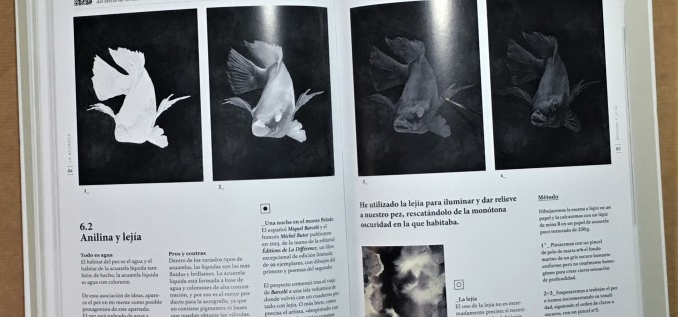 Explorando el Blanco y Negro Técnicas de Dibujo y Pintura - Imagen 5