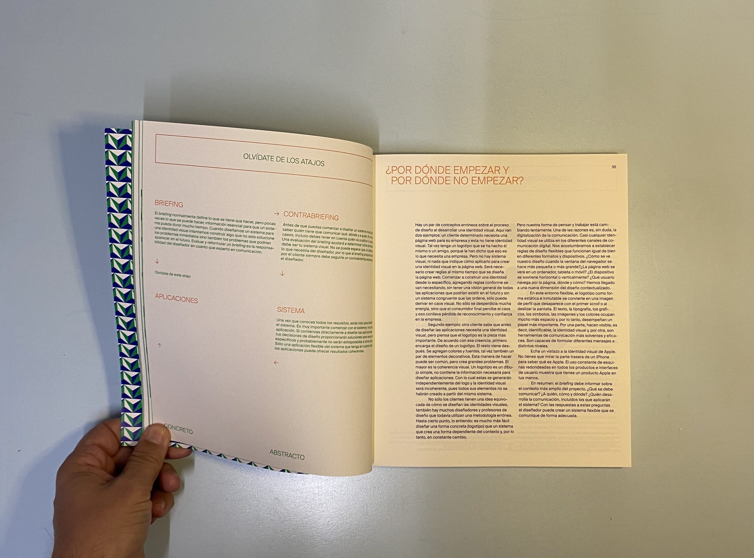 Sistemas Visuales Flexibles