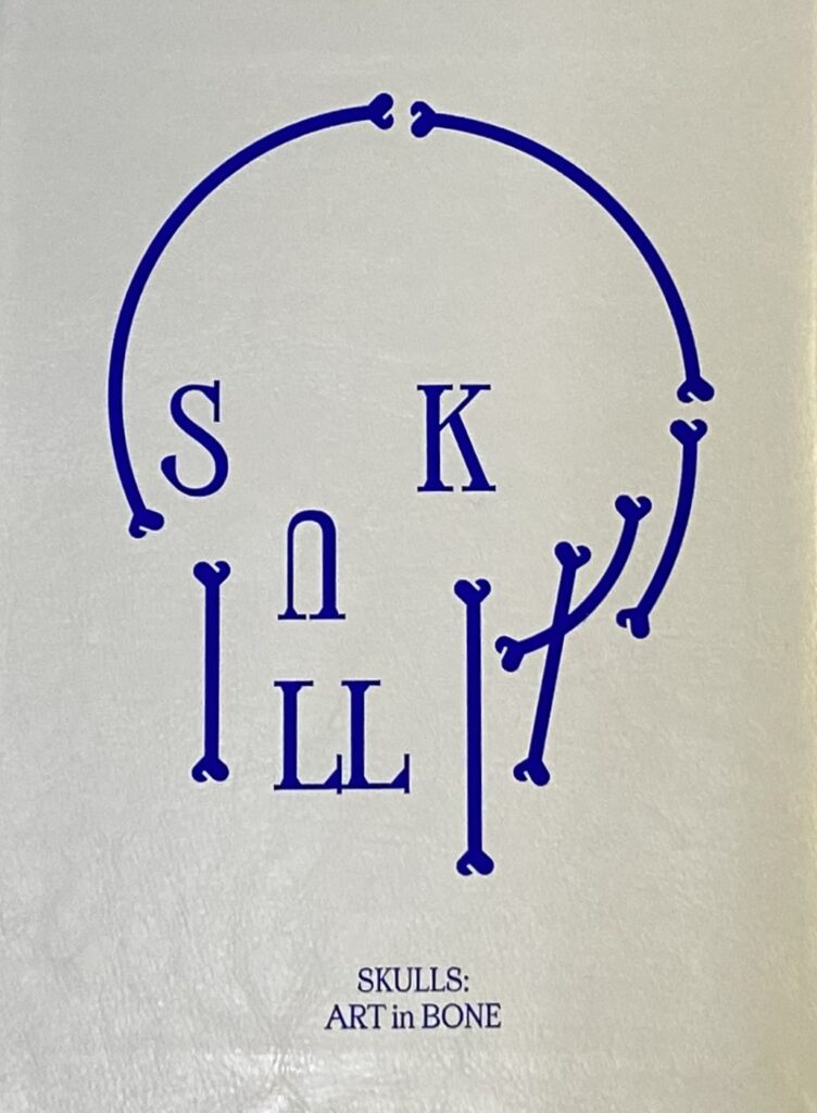 Skulls  Art in Bone
